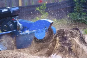 How-Much-Does-Tree-Care-Cost-for-Valley-Springs-CA