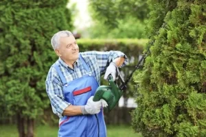 Is There a Right Way to Trim a Tree at Valley Springs, CA